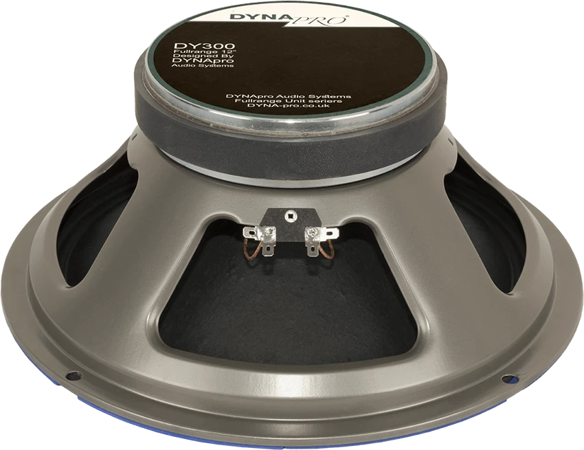 DY 300 in بلندگو ها و لوازم جانبی