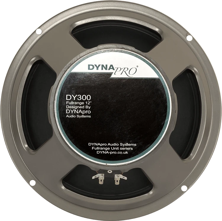 DY 300 in Speakers & Accessory